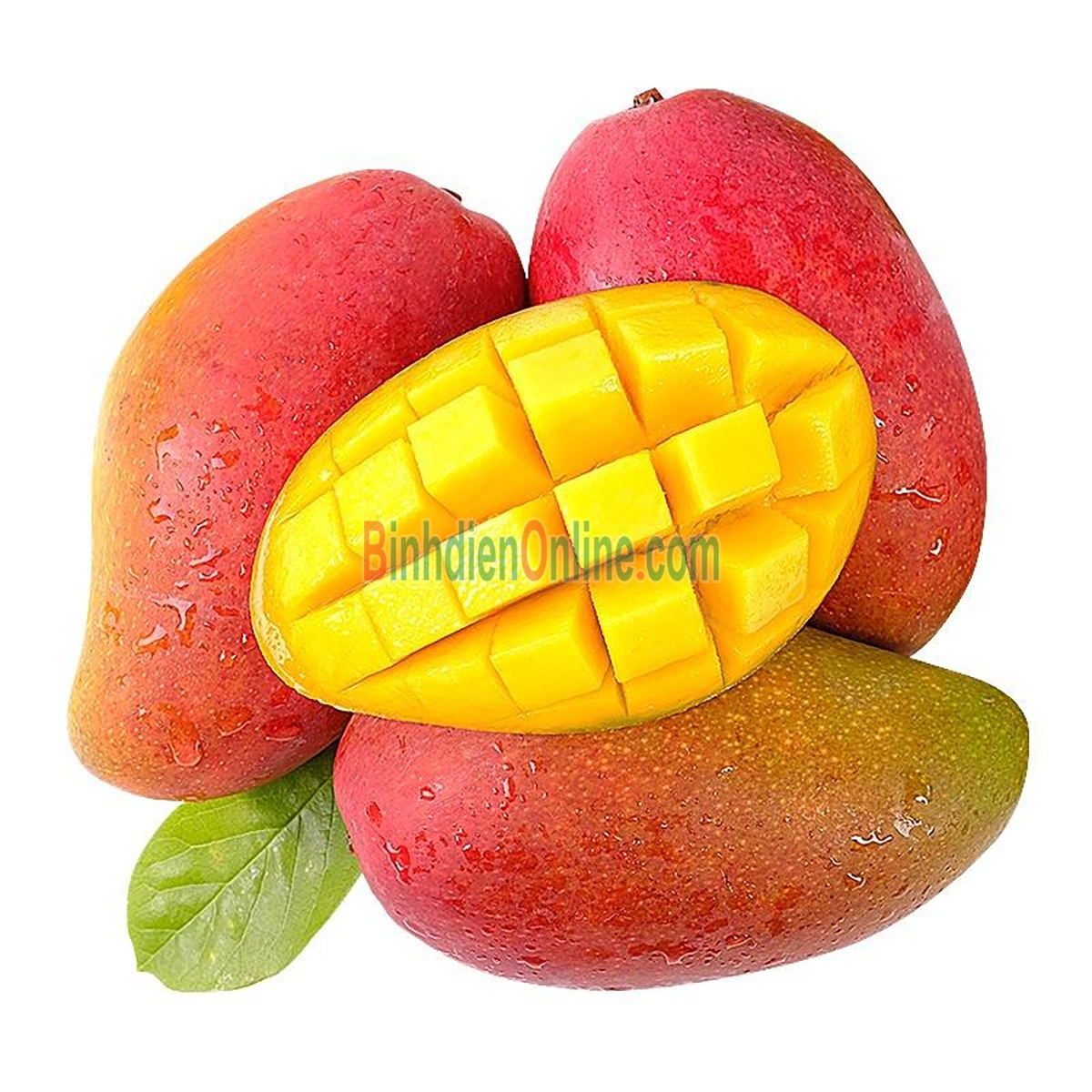 Xoài giống Đài Loan đỏ (xoài tím) chín, loại 1
